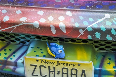 wildlife car 20