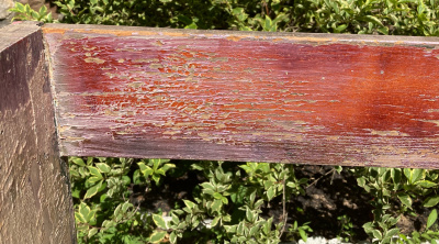 Detail of Bench