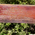 Detail of Bench