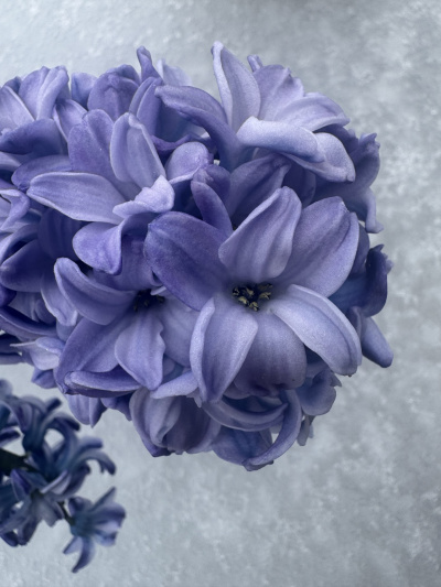 photography other 02