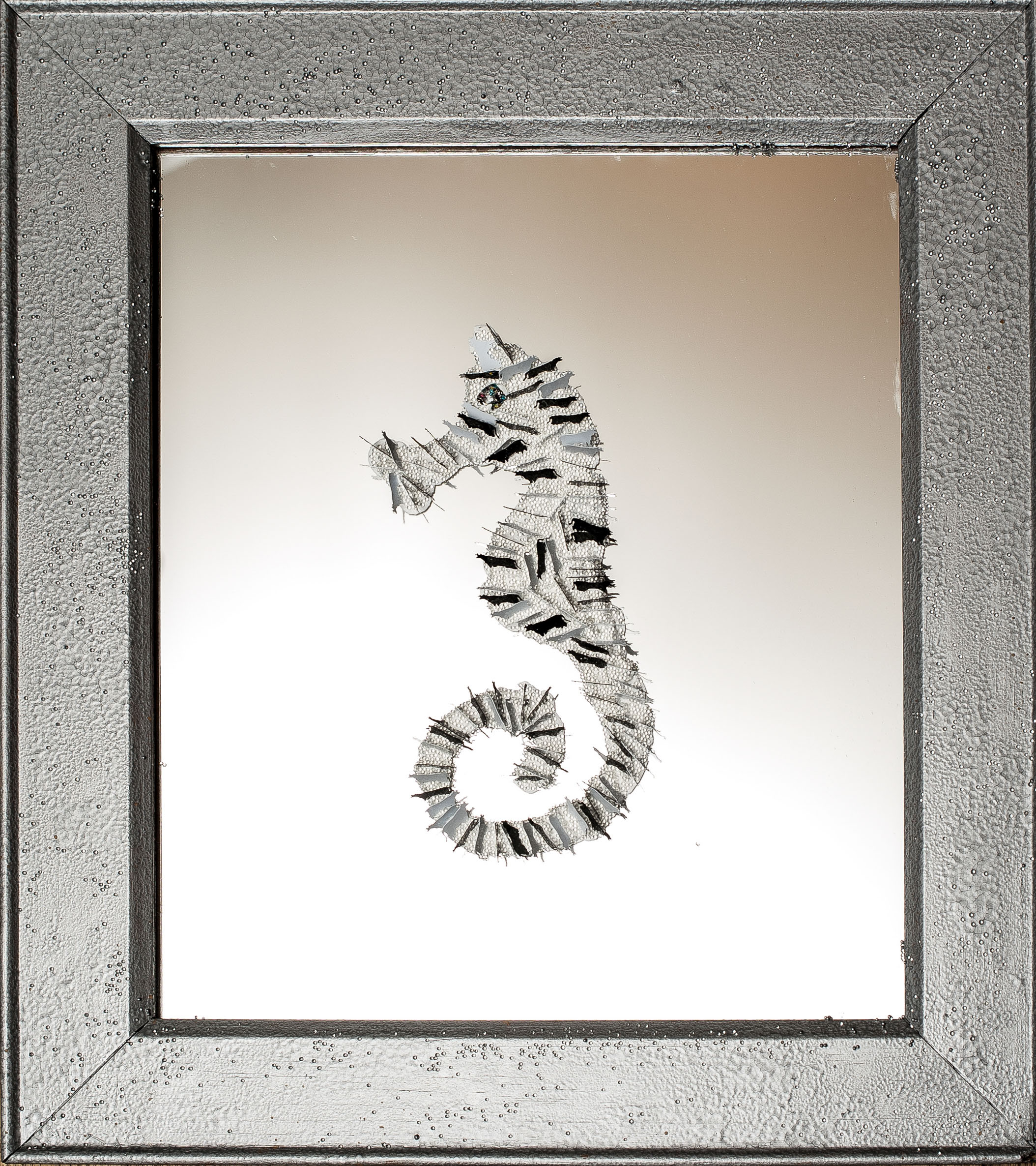 Another pic of Standing Cow Confetti Seahorse With Eggs
