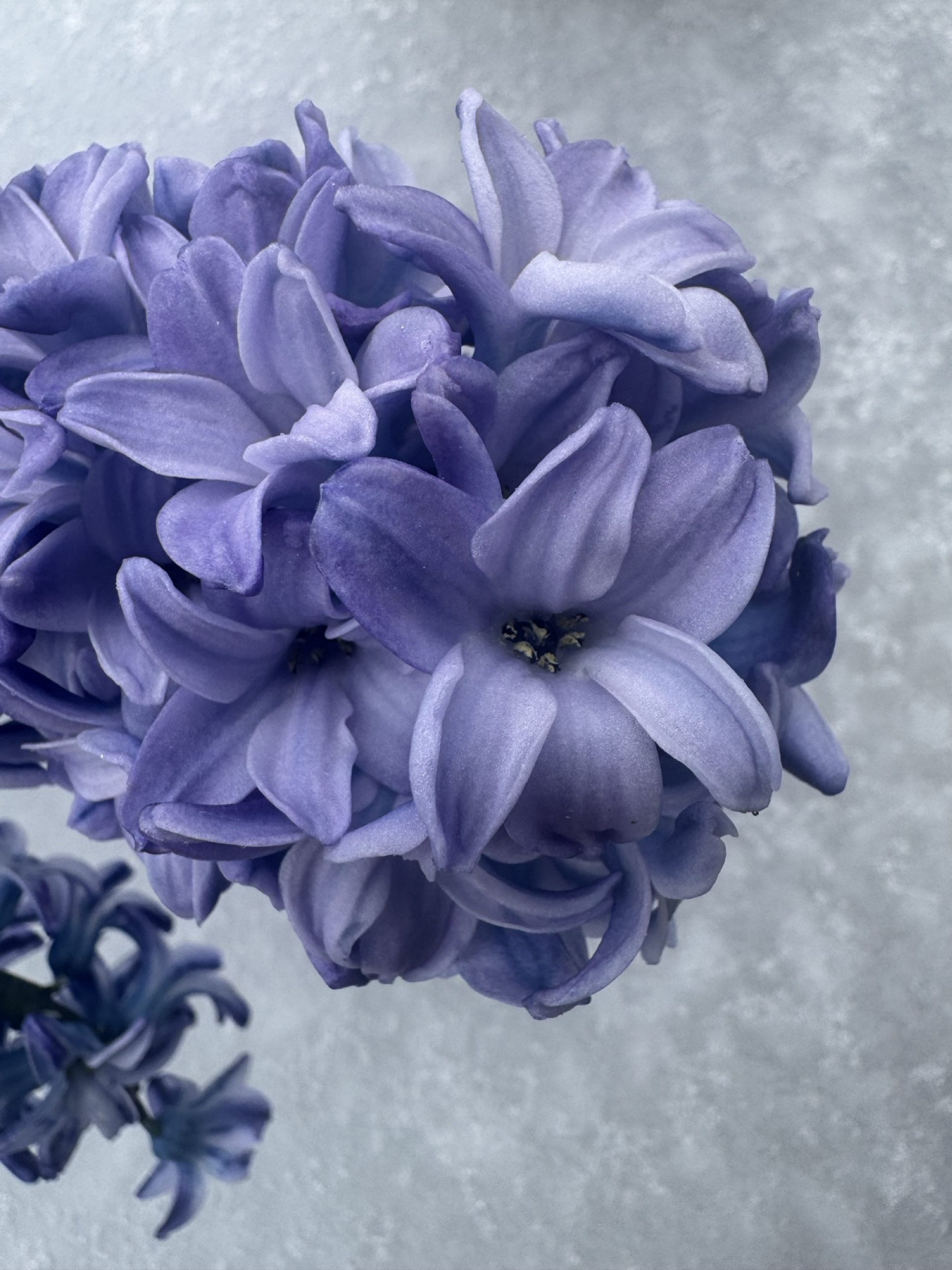 photography_other_02