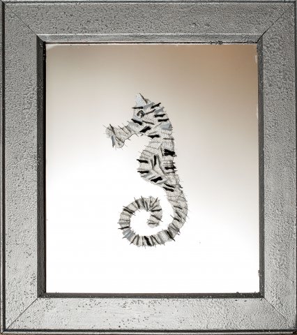 Another pic of Standing Cow Confetti Seahorse With Eggs