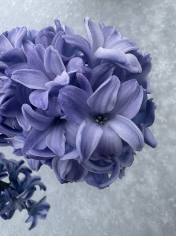 photography_other_02